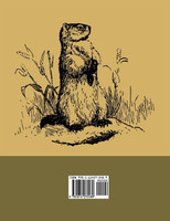 Woodchucks and Woodchuck Rifles [Illustrated Edition]