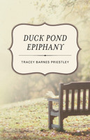 Duck Pond Epiphany