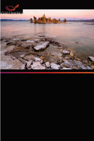 Poszukiwanie interpretacji w Tańcu współczesnym Pneuma