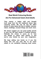 Real World Colouring Books Series 52