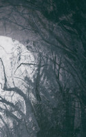 Dark Fantasy Notebook