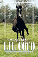 Adventures of Lil Coco
