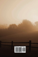 The Provincial Lady Goes Further, (Fully Illustrated)