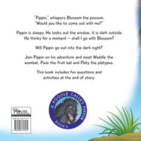 Pippin's Night-time Adventure