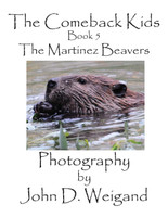 The Comeback Kids, Book 5, The Martinez Beavers