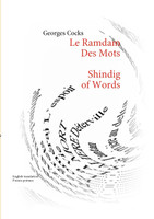Le Ramdam des mots