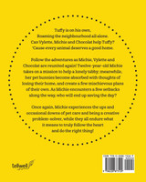 The Adventures of Vylette Bunny and Friends