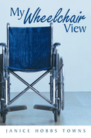 My Wheelchair View