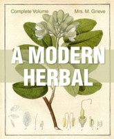 A Modern Herbal