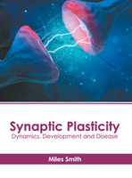 Synaptic Plasticity