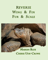 Reverie  Wing & Fin  Fur & Scale