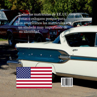 Coches y matrículas americanos