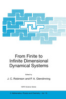 From Finite to Infinite Dimensional Dynamical Systems