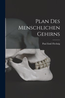 Plan Des Menschlichen Gehirns