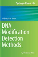 DNA Modification Detection Methods