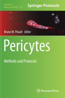 Pericytes