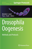 Drosophila Oogenesis