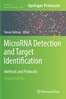 MicroRNA Detection and Target Identification