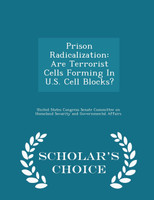 Prison Radicalization