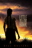 Little Yellow Hawk