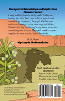 Mystery in the Mountains
