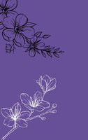 Marigold Aster