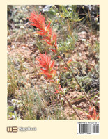 Wild and Rugged Wyoming