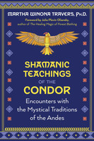 Shamanic Teachings of the Condor
