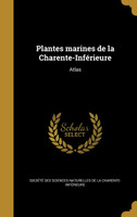 Plantes marines de la Charente-Inférieure