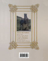 Erik's Viking Voyage