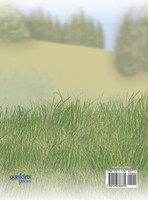 The Adventures of NIKKO