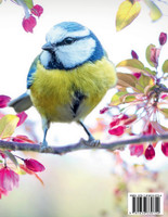 I AM BIRD