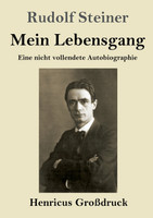 Mein Lebensgang (Großdruck)