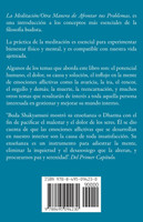 La meditación, Otra manera de afrontar tus problemas