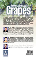 Recent Advances in Grapes
