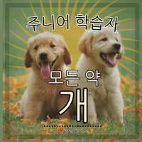 주니어 학습자, 모든 약 개