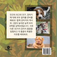 주니어 학습자, 모든 약 개