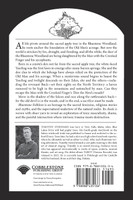 Bluestone Folklore