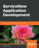 ServiceNow Application Development