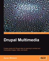 Drupal Multimedia
