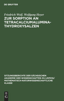 Zur Sorption an Tetracalciumaluminathydroxysalzen