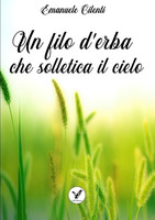 Un filo d'erba che solletica il cielo