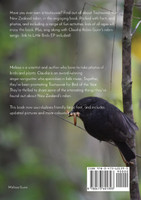Toutouwai  New Zealand Robin