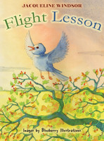 Flight Lesson