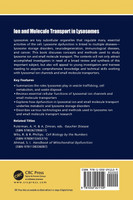 Ion and Molecule Transport in Lysosomes