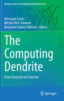 The Computing Dendrite