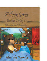 Adventures in Beddy Teddy's Wonderland
