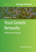Yeast Genetic Networks