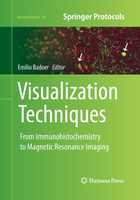 Visualization Techniques