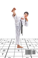 Das Zahlen-Taekwondo | Sudoku Schwarzgürtel-Ausgabe (mit 240 Schweren Sudoku-Rätseln!)
